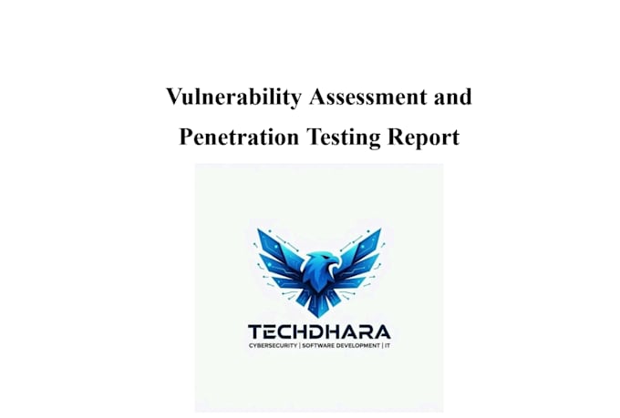 perform professional penetration tester and security audit